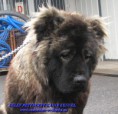 /album/kepgaleria-kelet-rettegett-kanja-back/kelet-rettegett-kanja-back-041-jpg/